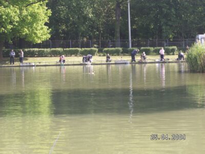 Mass Image Compressor Compressed this image. https://sourceforge.net/projects/icompress/ with Quality:80