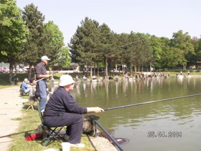 Mass Image Compressor Compressed this image. https://sourceforge.net/projects/icompress/ with Quality:80