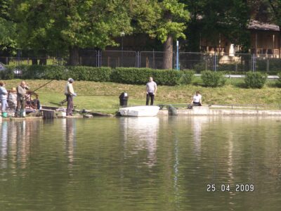 Mass Image Compressor Compressed this image. https://sourceforge.net/projects/icompress/ with Quality:80