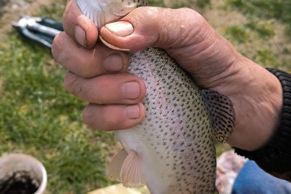 WhatsApp Image 2026-04-03 at 11.49.31